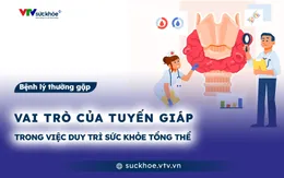 Vai trò của tuyến giáp trong việc duy trì sức khỏe tổng thể