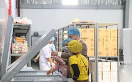 Tiềm ẩn nguy cơ ngộ độc thực phẩm sau Tết