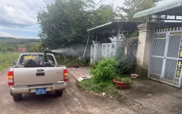 Đồng Nai: Sốt xuất huyết vẫn tiềm ẩn nguy cơ bùng phát