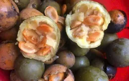 Cảnh báo ngộ độc sau khi uống bột hạt sang chữa đau dạ dày