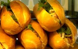 Vụ ngộ độc bánh mì tại Vũng Tàu: Hơn 50% mẫu bệnh nhân dương tính với vi khuẩn Salmonella