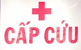 Nhồi máu não thể nặng do tắc động mạch thân nền