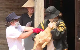 Bệnh dại diễn biến phức tạp, cần chung tay kiểm soát nguồn lây