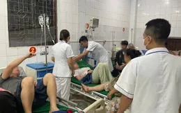 Ngộ độc rau rừng lạ, 3 người nhập viện cấp cứu