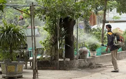 Hà Nội chủ động phòng sốt xuất huyết từ sớm