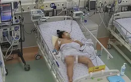 Sốc sốt xuất huyết Dengue nặng gây tổn thương gan cấp ở trẻ