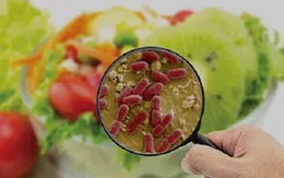 Bộ Y tế: Khẩn trương điều tra vụ nghi ngộ độc sau khi ăn quả lạ ở Lai Châu