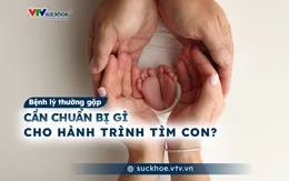 Cần chuẩn bị gì cho hành trình tìm con