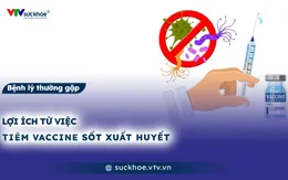 Lợi ích từ việc tiêm vaccine sốt xuất huyết