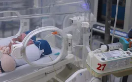 Nuôi ăn bằng sữa mẹ - phép màu cứu sống trẻ sinh non