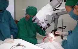 Ứng dụng san hô điều trị viêm tai giữa