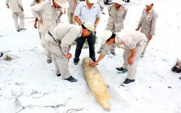 Quảng Trị: Phá hủy thành công 400 vật liệu nổ