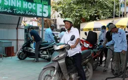 Quảng Ngãi: Giải pháp cho nguồn nguyên liệu xăng sinh học E5