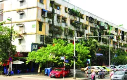 Hôm nay (12/8), sẽ kiểm tra chung cư cũ nát tại Hà Nội