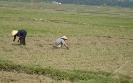 Miền Trung: Nắng nóng trên diện rộng