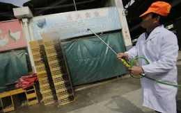 Thế giới cảnh giác trước tình hình H7N9 tại Trung Quốc