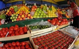 Lệnh cấm của Nga tác động đến xuất khẩu nông sản của Bỉ