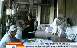 Gần 400.000 tấn đường tồn kho chờ... xuất khẩu