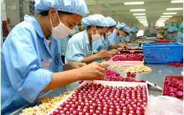 Doanh nghiệp nợ bảo hiểm trên 10.000 tỷ đồng