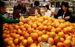 Cam Trung Quốc vẫn tràn ngập thị trường