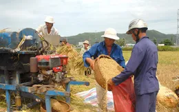 Tranh luận quanh việc giao chỉ tiêu tạm trữ gạo cho địa phương