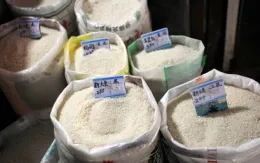 Trung Quốc phát hiện gạo chứa chất gây suy thận