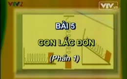 BTKT môn Vật Lý: Con lắc đơn