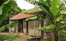 Làng Vũ Đại ngày ấy, bây giờ 