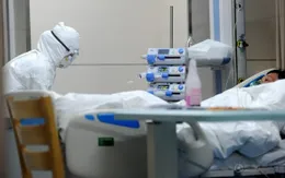 WHO: Cúm H7N9 không lây nhiễm từ người sang người 