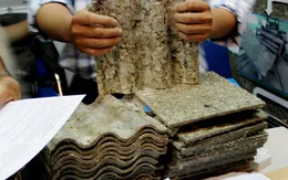 Việt Nam sản xuất tấm lợp từ vỏ hộp sữa tái chế