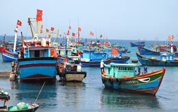 Ngày 1/6, bắt đầu tuần lễ Biển và Hải đảo Việt Nam