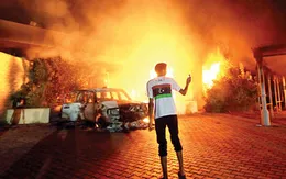 Xem gì ngày 4/2 trên VTV?