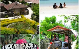 Chiêm ngưỡng vẻ đẹp trên đảo Taketomi, Nhật Bản