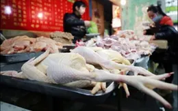 Biện pháp phòng tránh dịch cúm H7N9?