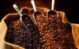 Muốn giảm cân? Hãy dùng cà phê sống