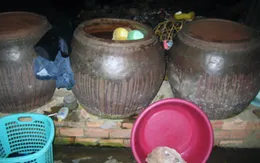 Tiền Giang: Người dân chủ quan với sốt xuất huyết