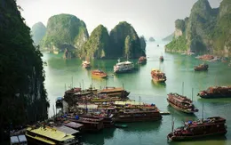 Vụ 7.000 lít dầu chứa hóa chất siêu độc và số phận Vịnh Hạ Long