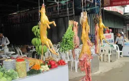 VIDEO:  Vì sao thịt thú rừng bán tràn lan tại cửa Phật?