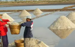 Muối rớt giá hàng ngàn diêm dân khốn khó