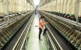 Nghiên cứu giảm thuế thu nhập doanh nghiệp xuống 20%