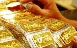 Hôm nay (4/4), tiếp tục đấu thầu 26.000 lượng vàng miếng