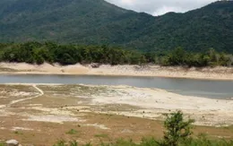 Bình Định: Hạn nặng, 140 hồ chứa nước khô kiệt 