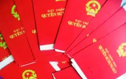 45/63 tỉnh thành chưa hoàn thành việc cấp sổ đỏ