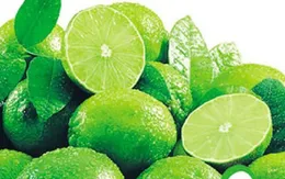 Dân hoang mang vì nông sản Trung Quốc nhiễm bệnh