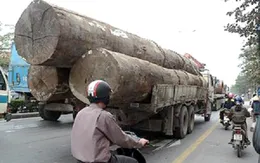 Đà Nẵng: Xử lý xe quá tải vẫn nửa vời