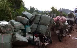 TP.HCM: Thêm một vụ buôn lậu thuốc lá lớn bị bắt