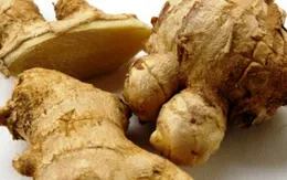 Phát hiện chất cực độc trong gừng nhập khẩu Trung Quốc