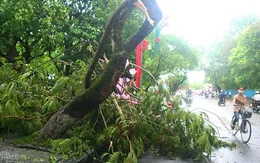 Giông lốc, mưa đá gây nhiều thiệt hại tại Huế