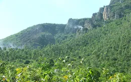 Nổ mìn, hơn 3 ha rừng bị thiêu rụi