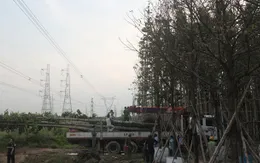 Hệ thống điện miền Nam đã khôi phục hoàn toàn